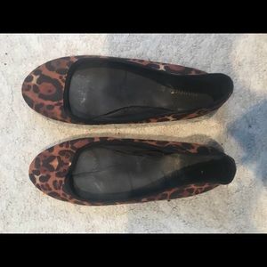 Cheetah Flats